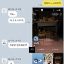미니크네일