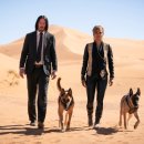 John Wick Chapter 3 이미지