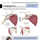 만성원광한의원 이미지