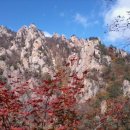 라영걸한의원 이미지