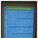 입암메밀타운 이미지