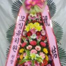 모심유치원 이미지