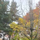 방아다리근린공원 이미지