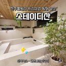 스테이디 이미지