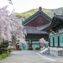 각원사길 이미지