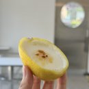 레몬컴퓨터 - 화성시 행정서로3길 34-22 | 대구 남산동 카페 ‘비비커피(BB COFFEE)’ : 레몬 포셋 디저트 후기