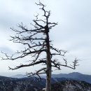 지리산 천왕봉(626회차)산행 이미지