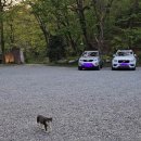 평천로74번길 이미지