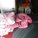 신양4리 이미지