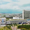 광주서초교 이미지