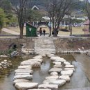 문경새재 생태미로공원 이미지