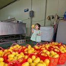 빈이네농장 이미지