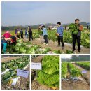 2025 국제종자박람회 전시작물 기부행사 참여 이미지