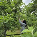 대전충남양돈농협 포크빌 축산물공판장 | 세계서 가장 넓은 경제 운동장 만드는 한국