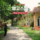 베트남 푸꾸옥 마사지 망고스파 킹콩마트 근처 픽업 가격 팁 얼마