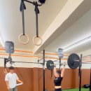 코알라패밀리 이미지