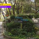 도림천 이미지