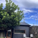 막다른 둥지 | [제주] 막다른둥지 - 막다른 골목에 둥지가 있는 감성숙소