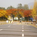 강동조정경기장입구 이미지