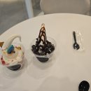 진한소프트 이미지