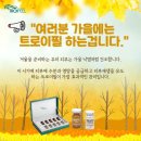 트로이샵 이미지