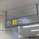 알로하동물약국 | [방문후기] 한여름 반려견 산책과 쇼핑을 한 번에 해결할 수 있는 곳!!! IFC Mall 이용안내 및 반려견...