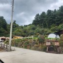 킴스오토 이미지