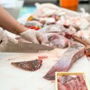 목포홍어전문점 이미지