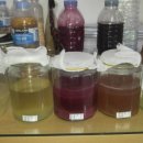 고구마 펙토리스토리 이미지