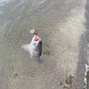 소금강가족낚시터 이미지