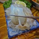 오징어 세상 이미지