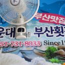 부산회가든