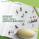 올비타민 이미지