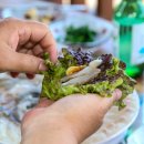 별,솔 펜션 이미지