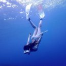 음파음파 수영장 이미지