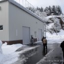백합 목자 선별 모습과 상자 상토기계(일본 니이가타 야마키농원 10년 2월) 이미지