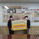 성성초 이미지