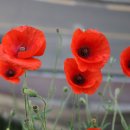 시민체육관 이미지