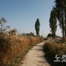 ‘한강’ 산책 이미지