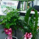 클로버부동산공인중개사사무소 이미지