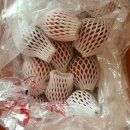 유석농장 이미지