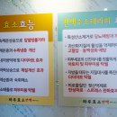 하루효소편백 이미지