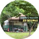 빈티지 나무 | 포천글램핑 추천 | 감성글램핑 성지 [캠프오후4시] 빈티지 카라반 솔직 후기