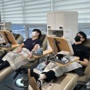 씨에스나무병원 이미지