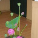 늘처음처럼 이미지