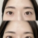 삼순이_삼결살_앞_CCTV | 일산 / 정발산역 웨스턴돔 “캐리랩뷰티” 영양 클리닉 속눈썹펌 후기