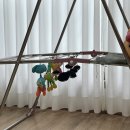 흑백세탁 이미지