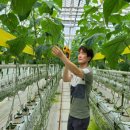 원예생활지도사 이미지