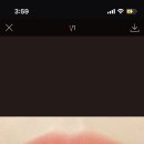 저스트틴트 이미지