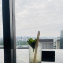 도쿄바 | 아만 도쿄 호텔 더 라운지 바 후기